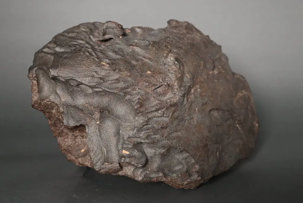 Oriented meteorite H4-6 Chondrite