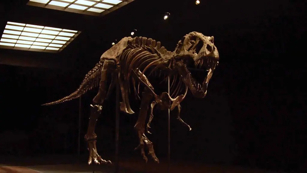 T. rex “Stan” for sale at Christie's